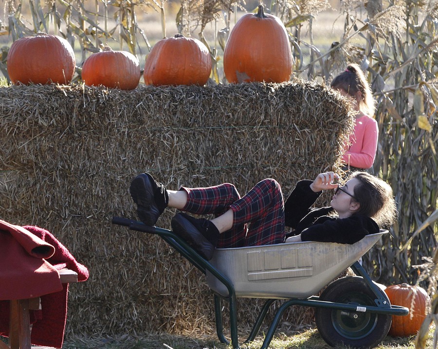 Scenes From Halloween 2018 The Atlantic