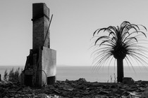 a fireplace and a palm tree on a burned house