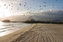 An empty beach with birds flying around