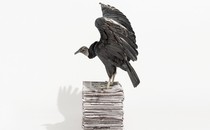 A dark-feathered vulture stands in profile, wings raised, on a stack of newspapers