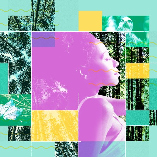 How Forest Bathing Can Help With Stress The Atlantic