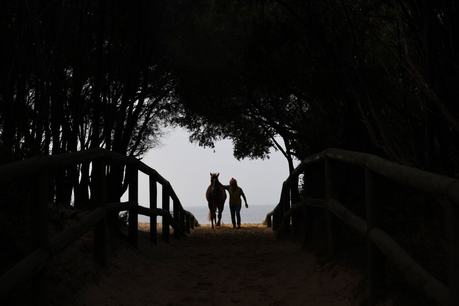 A trainer walks with a horse away from a beach.