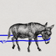 Illustration of two donkeys pulling each other in opposite directions with a blue rope