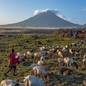 photo of boy in red shawl with goats and sheep on grass with large mountain in background