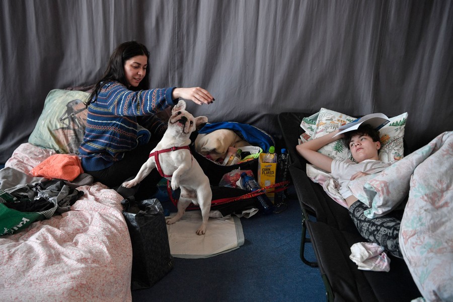 A woman sitting on a cot plays with a small dog as another person on a cot nearby looks on.