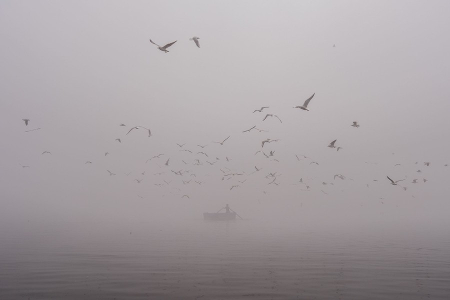 People feed seagulls in a river, surrounded by thick smog.