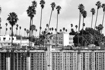 Construction workers help build a mixed-use apartment complex that will hold more than 700 units of apartment housing and 95,000 square feet of commercial space, on January 25, 2024, in Los Angeles, California.