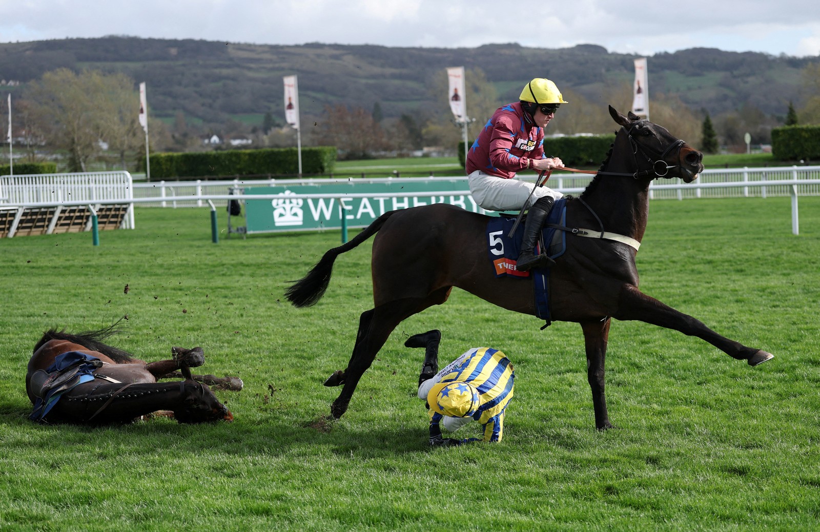 A rider on a racehorse passes by a fallen rider and horse during a race.