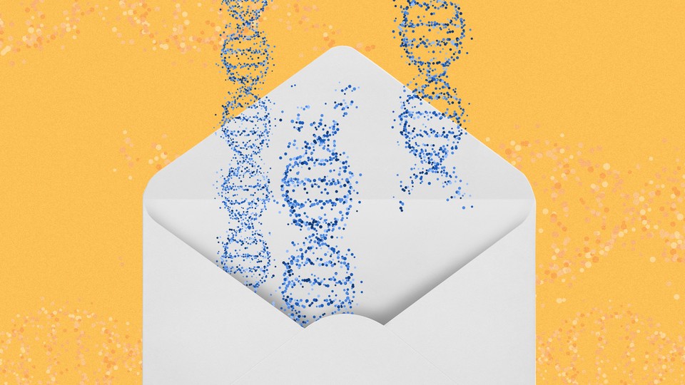DNA double helixes in an envelope