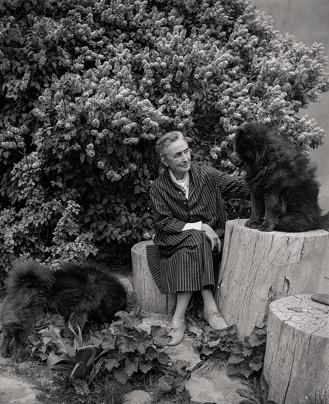 O'Keeffe seated in garden with legs crossed next to large black Chow dog sitting on stump with another dog near her feet