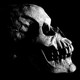 Black and white photograph of a skull