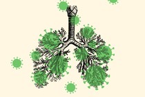 a lung overlaid with silhouettes of the coronavirus