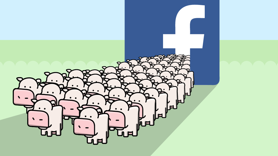 A graphic of several cows emerging from Facebook's logo
