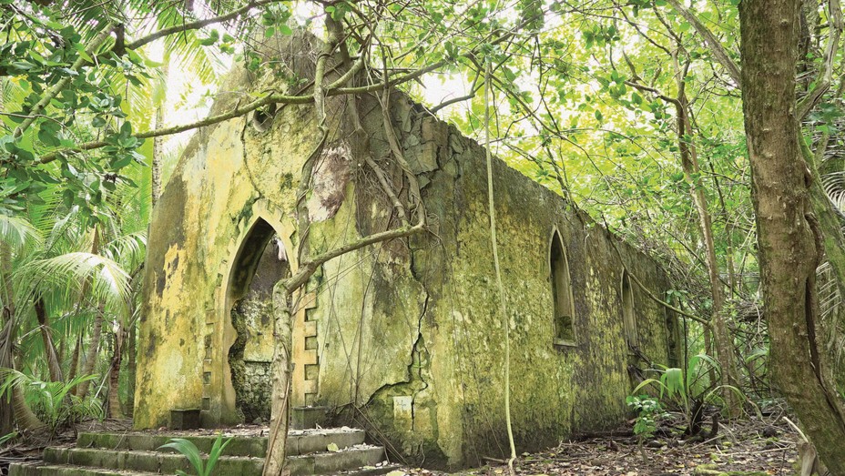 photo of stone church ruins in forest with vines 