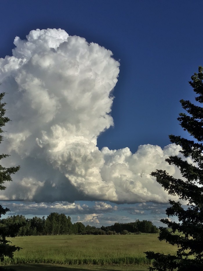 A thunderhead dominates most of the photo, its top puffy layers pushing against the top of the troposphere. Prairie grass sits beneath it, with trees in the distance. Evergreens frame the photo.
