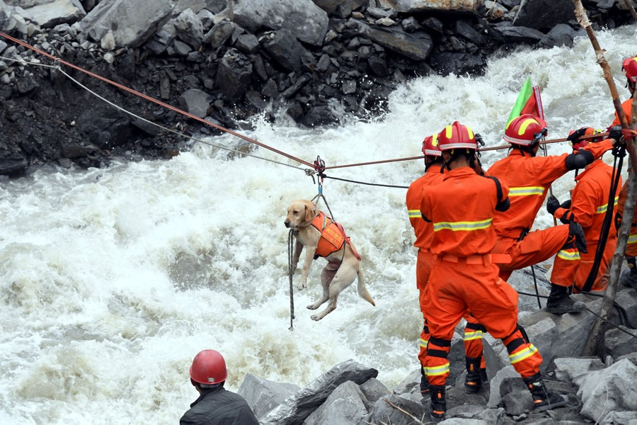 Workers pull a rescue dog across a fast-moving river, using ropes.