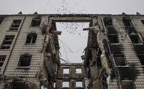 A flock of birds flies above the shell of a destroyed building.