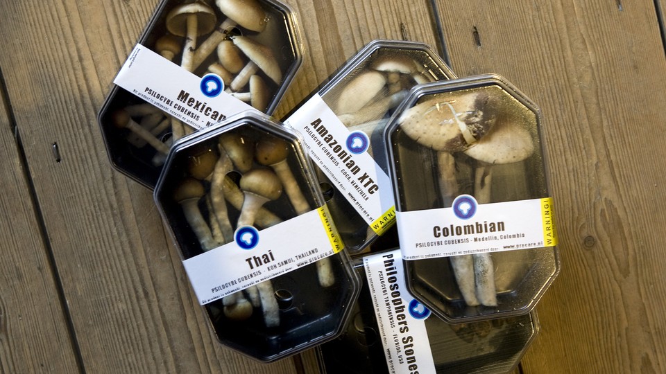 Boxes containing magic mushrooms at a shop in Rotterdam