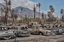 Wildfire damage in Lahaina, Hawaii on Thursday, Aug. 10, 2023; trucks, cars, and palm trees in burned-out areas in western Maui