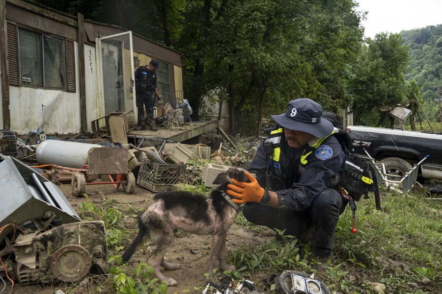 Two rescue workers move through a debris-strewn yard, and one kneels down to care for a small dog.