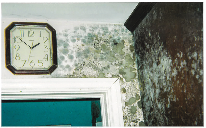 photo of clock above doorframe surrounded by overlapping circles of mold spreading into a solid coating on wall