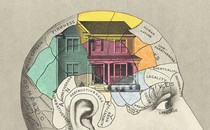 An illustration of a diagram of the human brain, with an image of a house occupying several regions of the diagram