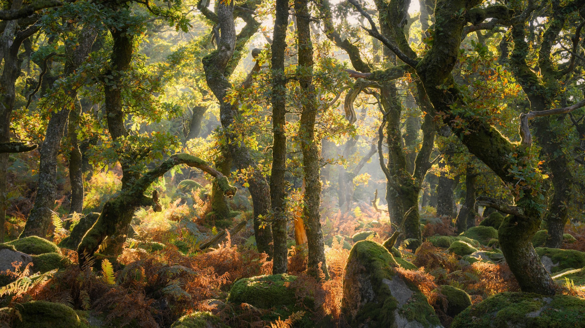 Winners of the 2025 Natural Landscape Photography Awards - The