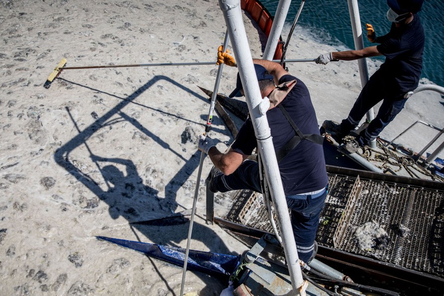 People work with a conveyor-belt cleaning machine to skim mucilage from a harbor.