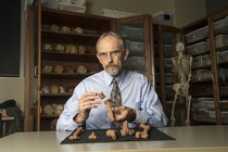 John Kappelman with 3D printouts of Lucy’s skeleton