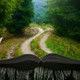 An open book illustrated with a path in a forest that extends out fr