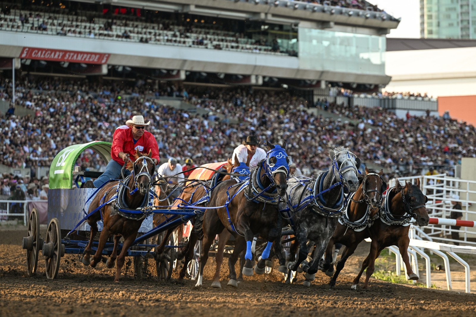 Riders and horses compete in a chuckwagon race.