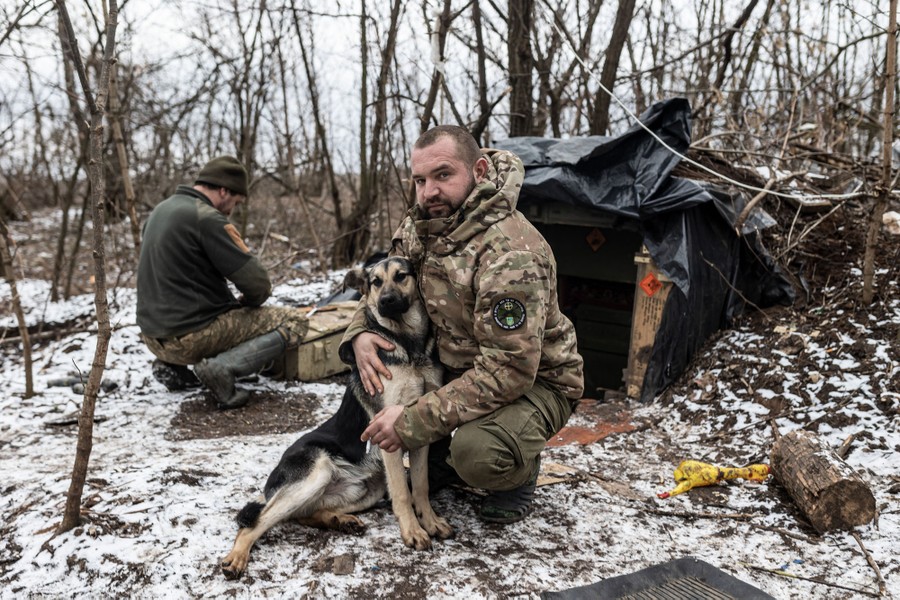 A soldier kneels and holds a dog outside the entrance to a bunker in a forest.