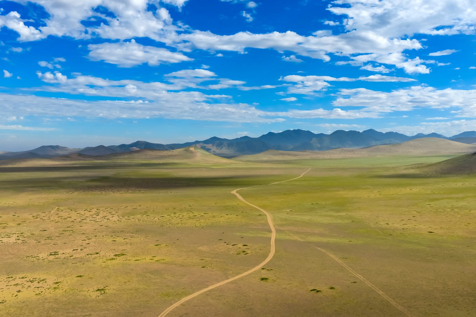 An aerial view of a road passing through a blooming area in a desert