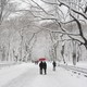 Two people under a red umbrella walk in a snowy Central Park