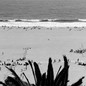 black-and-white photo of beach