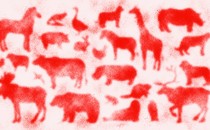 A hazy collage of different mammals silhouetted in red