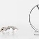 A hamster walking away from its hamster wheel.