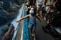 A masked girl touches an aquarium.