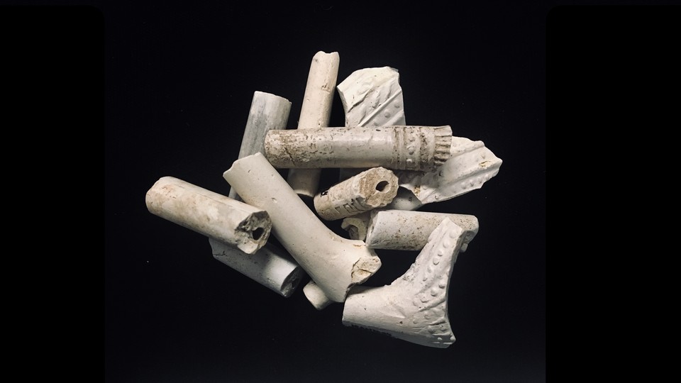 Several clay pipe fragments