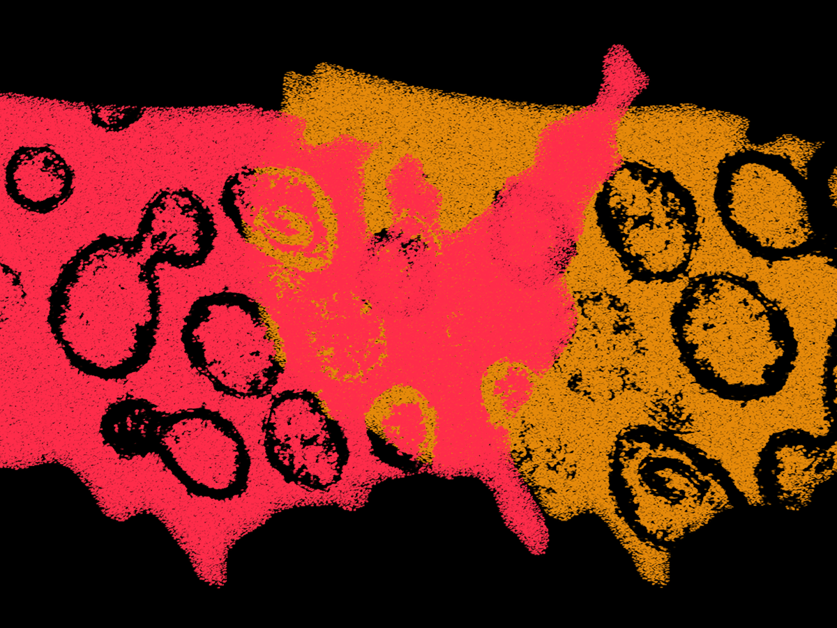 The Second Coronavirus Surge Is Here The Atlantic