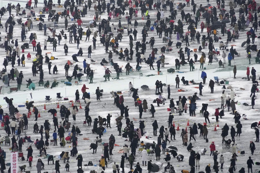 Hundreds of people stand spaced apart on ice, fishing.