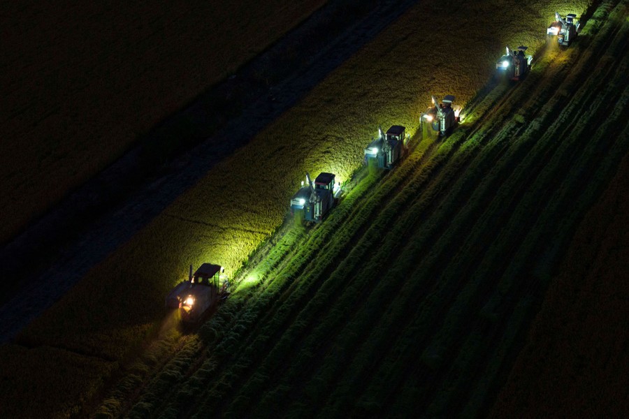 Six machines harvest a rice field at night.