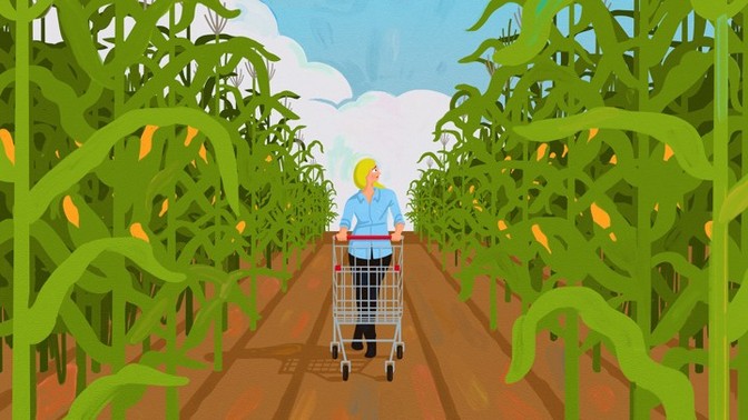 Life with a corn allergy