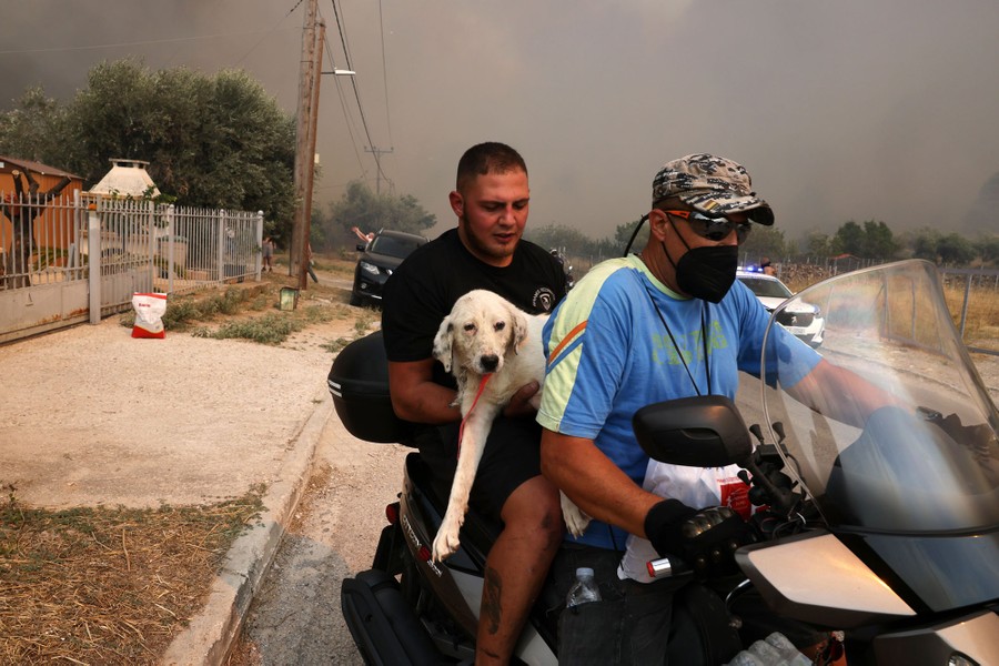 Two people ride a motorcycle, as the one in back carries a dog, driving away from a smoke-filled sky in the background.