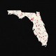 Florida has measles