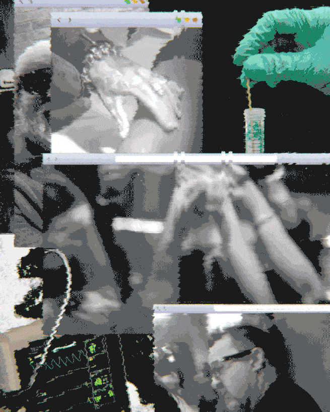 Video collage of self-described "Rock doc"