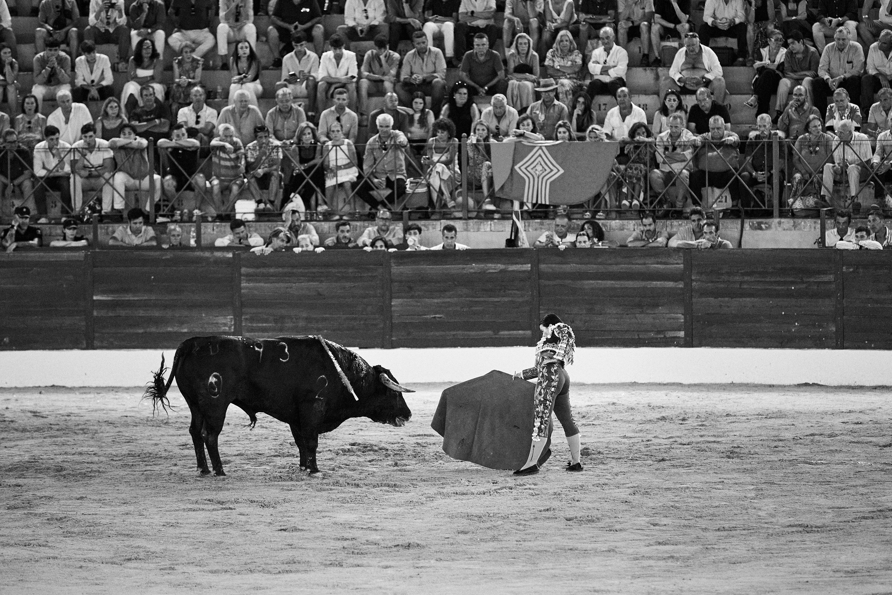 3 of 4 black-and-white photos of woman fighting large bull