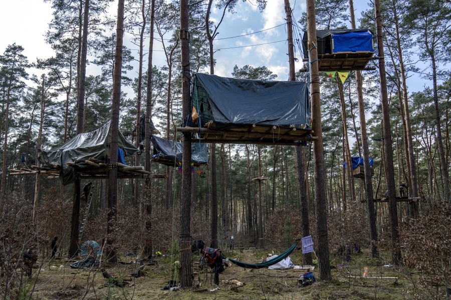 A collection of several tents set up on high platforms built in a stand of trees