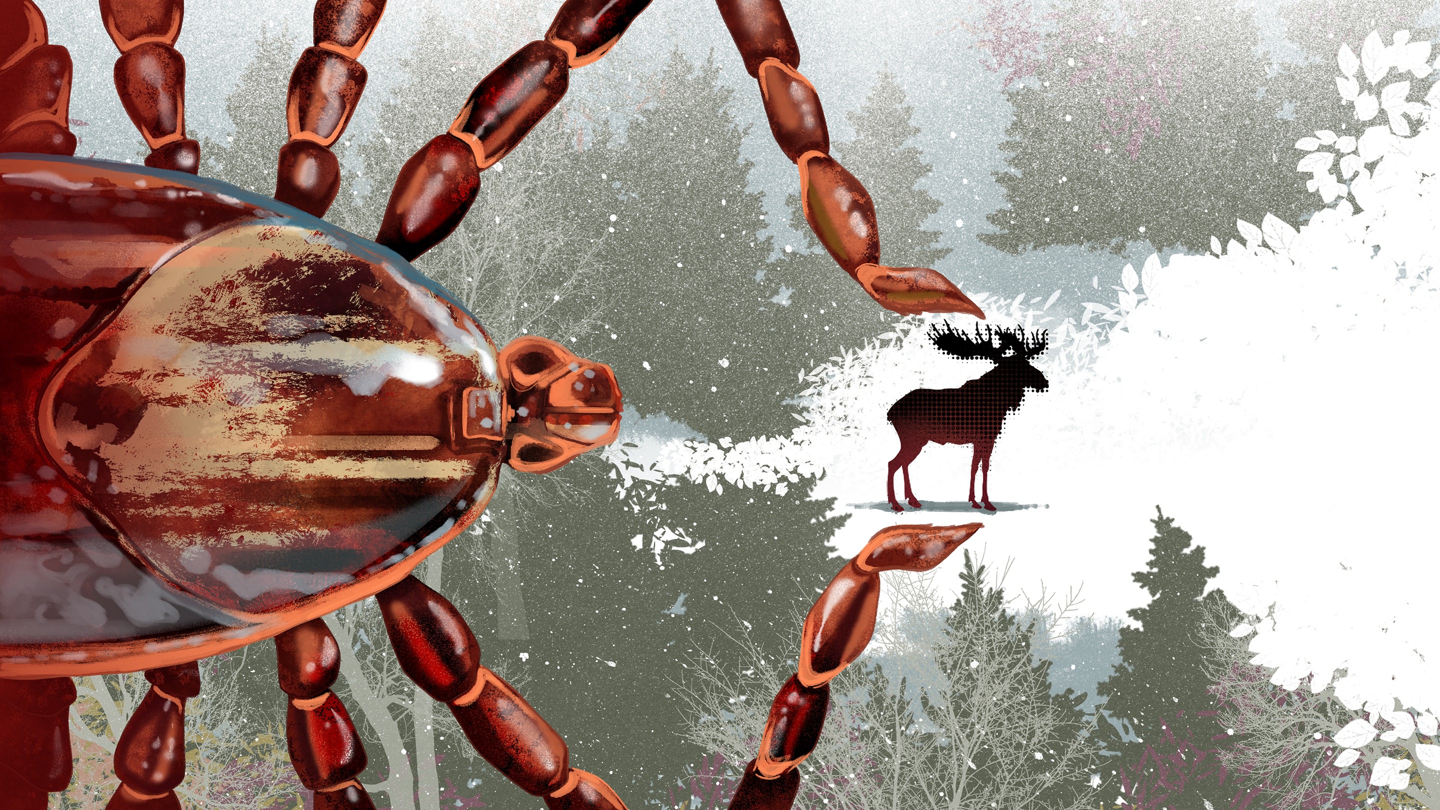 The Ticks That Can Take Down an 800 Pound Moose The Atlantic