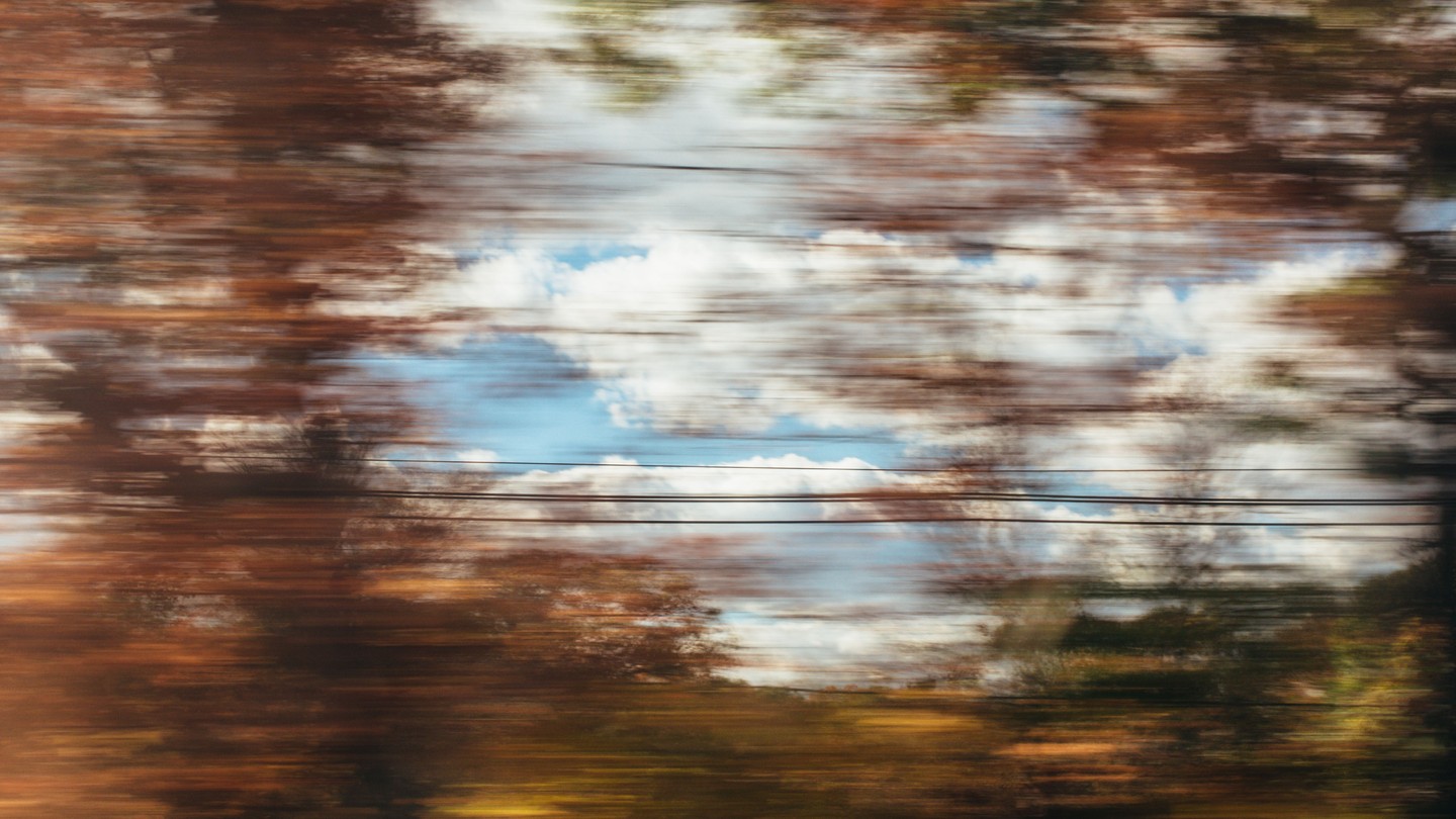 A blurred view out at a blue sky and autumnal tees